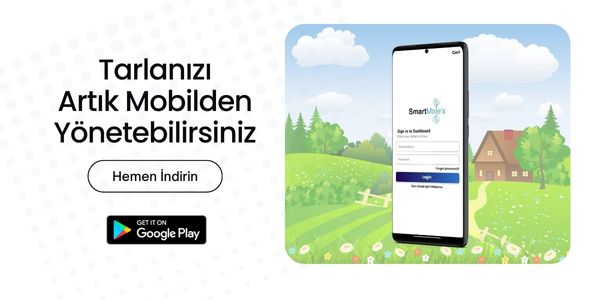 Mobil Uygulama