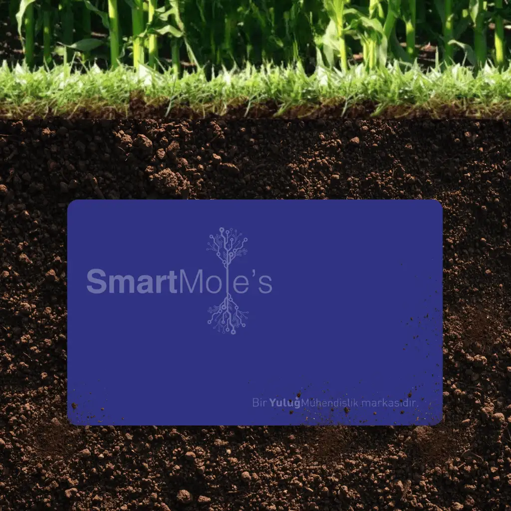 SmartMoles Sensörü