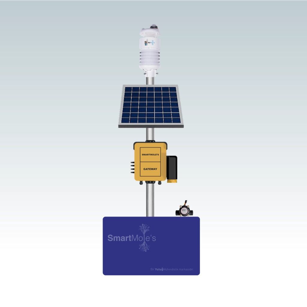 AirMole's + SmartMole's Sensör Seti
