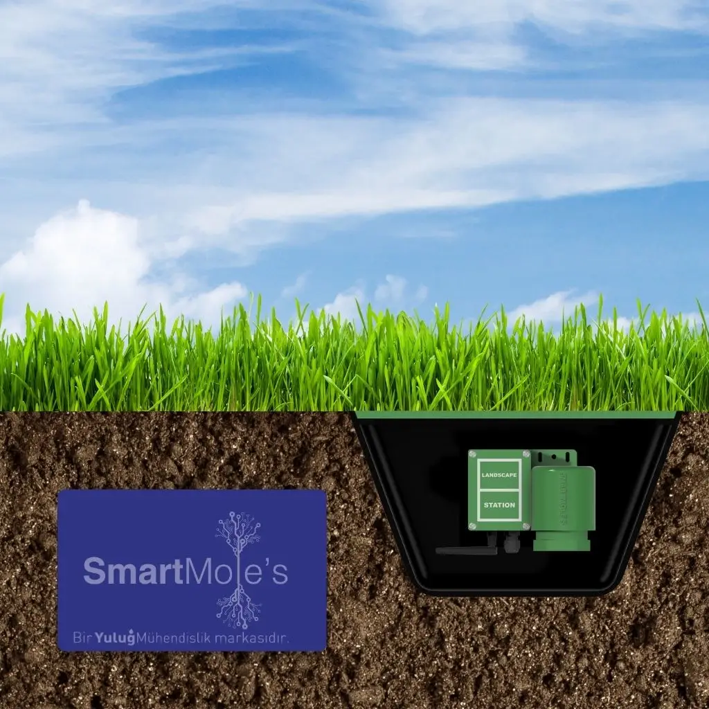 SmartMoles Peyzaj Sensörü 2