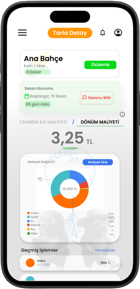 Finansal Röntgen