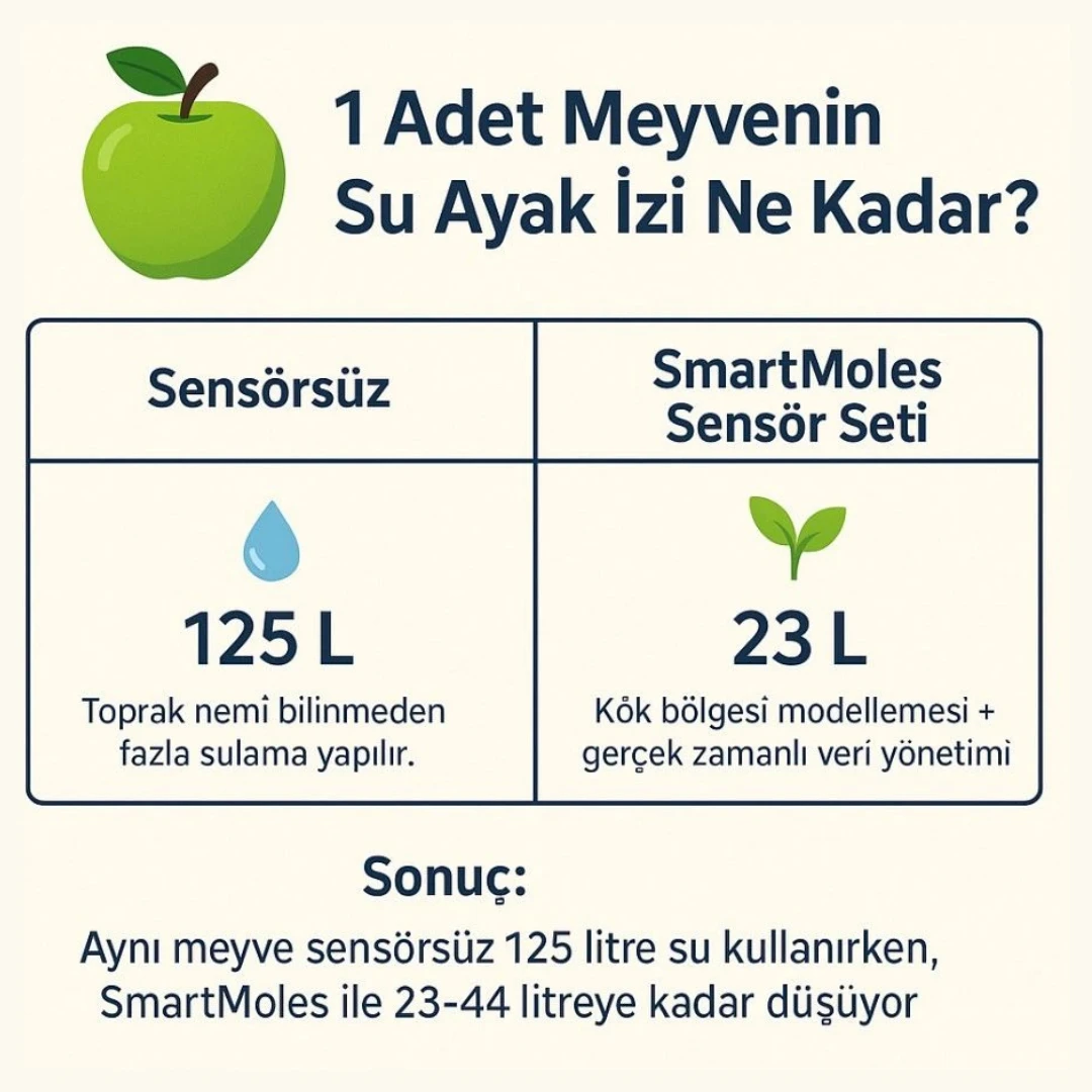 Bir Adet Meyvenin Su Ayak İzi Ne Kadar?