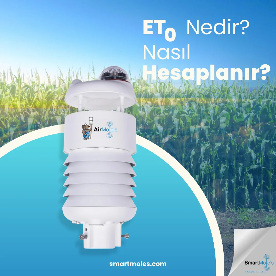 ETc Nedir? Bitki Su İhtiyacı Nasıl Hesaplanır?