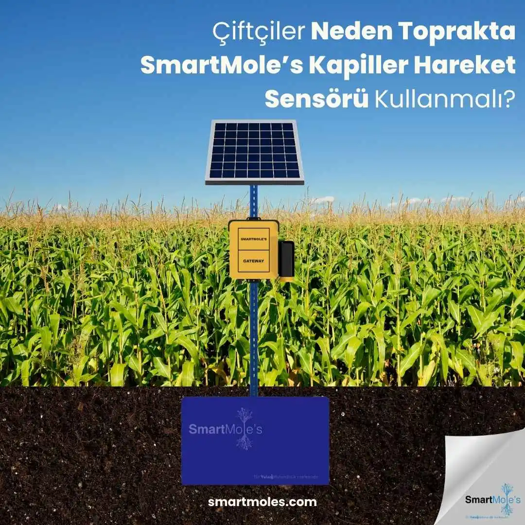 Çiftçiler Neden Toprakta SmartMole's Kapiler Hareket Sensörü Kullanmalı?