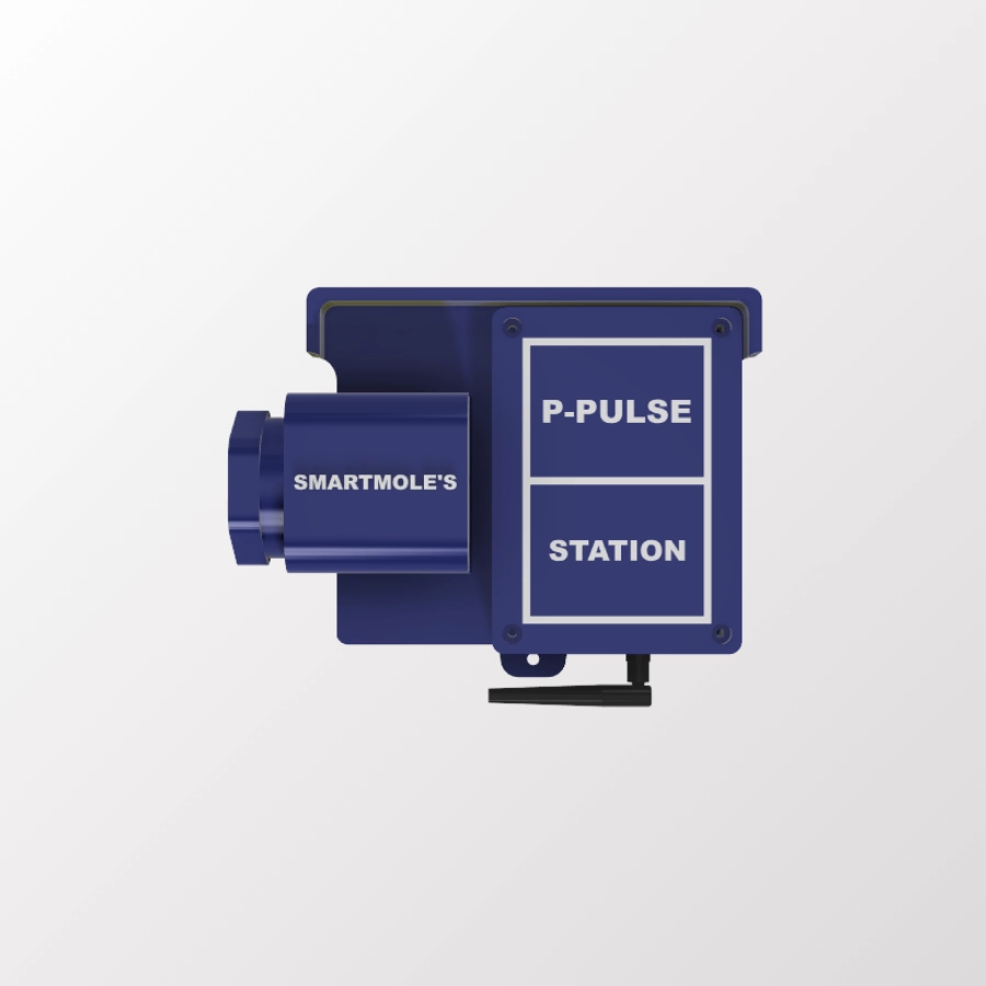 SmartMoles P-Pulse İstasyonu