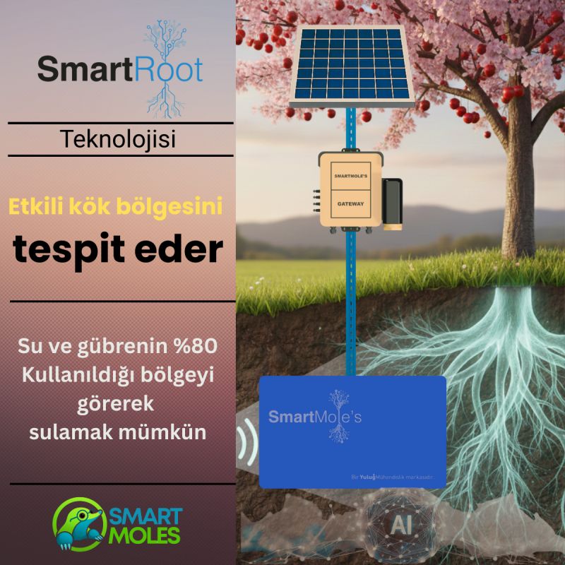 Etkili Kök Bölgesi Nedir? Kök Bölgesini Bilmeden Sulama Yönetilebilir mi?