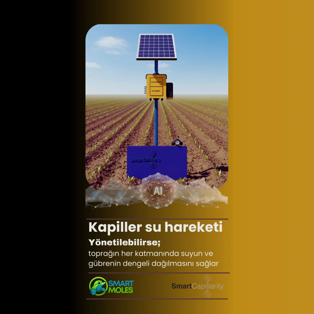 Toprakta Kapiller Hareket Nedir? Kapiller Su Yönetimi Neden Kritik Öneme Sahiptir?